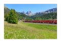rhaetische Bahn #5ds00025