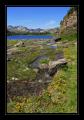 Engstlensee #15346