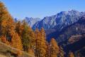 Guarda #16775 Guarda #16775
