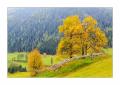 Herbst im Engadin #37037