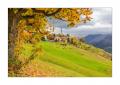 Guarda #36688