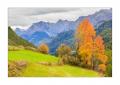 Herbst #37100