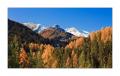 Scuol #25498
