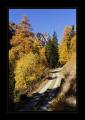 Lavintal #16753 Lavintal #16753