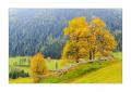 Herbst im Engadin #37037