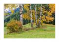 Herbst im Engadin #37075
