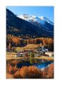 Tarasp #25551
