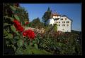 Schloss Heidegg #1367