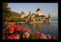 Schloss Oberhofen #9233