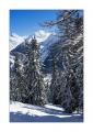 Oberwald #17878