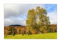Walchensee #5ds03293