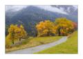 Herbst im Engadin #37028
