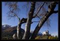 Schloss Baum #1749