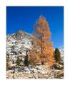 Val Roseg #25037 Val Roseg #25037