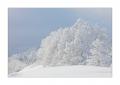 Winter im Eigental #25915