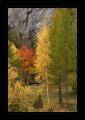 Derborence #16383 Derborence #16383