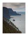 Madeira Porto da Cruz #20761