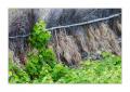 Madeira Quebrada Nova #20800