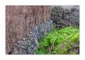 Madeira Quebrada Nova #20827