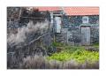 Madeira Quebrada Nova #20834