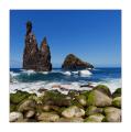 Madeira Ribeira da Janela #20434Q
