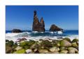 Madeira Ribeira da Janela #20434