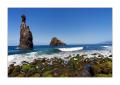 Madeira Ribeira da Janela #20445