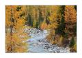 Val Roseg #25096 Val Roseg #25096