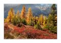 Meiental im Herbst #30537