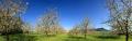 Frühling im Baselland Pano#31729