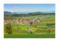 Wenslingen #20973 Wenslingen #20973