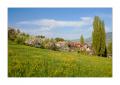 Merlischachen #20923