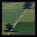 Feld MontVully #3312