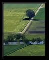 Feld MontVully #3315