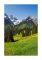 Voralp #21075 Voralp #21075