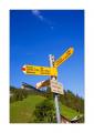 Wanderwegweiser Alplen #21878