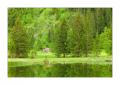 Lauenensee #21387 Lauenensee #21387