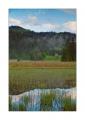 Lauenensee #21432