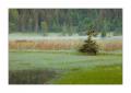 Lauenensee #21442