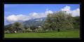 Kirschbaum #3045 Kirschbaum #3045