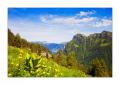 Fronalpstock #21938