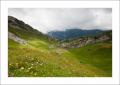 Spilauhütten #29700