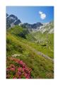 Meglisalp #22367