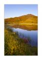 Bischolsee #22036