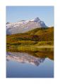 Bischolsee #22042