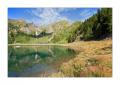Tremorgiosee #22214