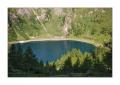 Tremorgiosee #22235