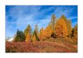 Meiental im Herbst #30377