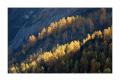 Meiental im Herbst #30567