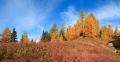 Meiental im Herbst Pano #30399